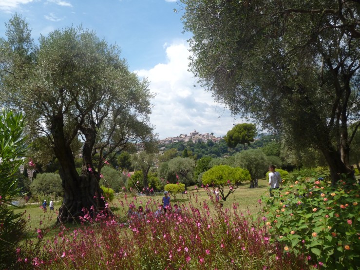 MUSEE MATISSE ST PAUL DE VENCE JUIN 14